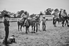 Equine Photography from horse events at the 174th Ancaster fair on September 20th of 2024.