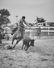 Equine Photography from horse events at the 174th Ancaster fair on September 20th of 2024.