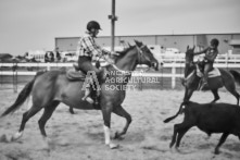 Equine Photography from horse events at the 174th Ancaster fair on September 20th of 2024.