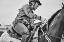 Equine Photography from horse events at the 174th Ancaster fair on September 20th of 2024.