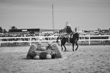 Equine Photography from horse events at the 174th Ancaster fair on September 20th of 2024.