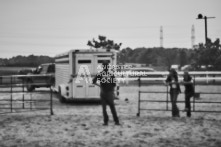 Equine Photography from horse events at the 174th Ancaster fair on September 20th of 2024.