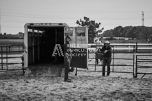 Equine Photography from horse events at the 174th Ancaster fair on September 20th of 2024.