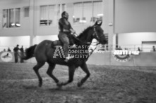 Equine Photography from horse events at the 174th Ancaster fair on September 20th of 2024.