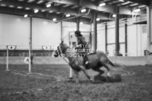 Equine Photography from horse events at the 174th Ancaster fair on September 20th of 2024.