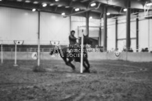 Equine Photography from horse events at the 174th Ancaster fair on September 20th of 2024.