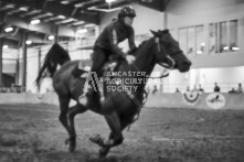 Equine Photography from horse events at the 174th Ancaster fair on September 20th of 2024.