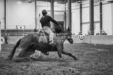 Equine Photography from horse events at the 174th Ancaster fair on September 20th of 2024.