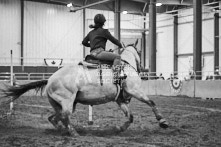 Equine Photography from horse events at the 174th Ancaster fair on September 20th of 2024.