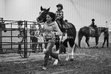 Equine Photography from horse events at the 174th Ancaster fair on September 20th of 2024.