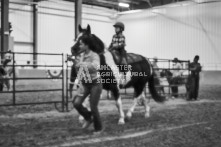 Equine Photography from horse events at the 174th Ancaster fair on September 20th of 2024.