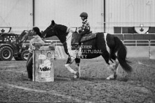 Equine Photography from horse events at the 174th Ancaster fair on September 20th of 2024.