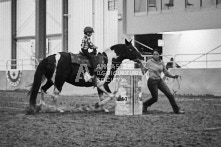 Equine Photography from horse events at the 174th Ancaster fair on September 20th of 2024.