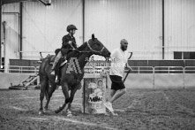 Equine Photography from horse events at the 174th Ancaster fair on September 20th of 2024.