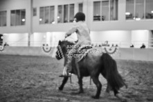 Equine Photography from horse events at the 174th Ancaster fair on September 20th of 2024.