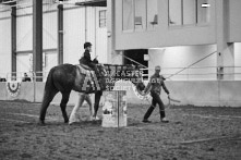 Equine Photography from horse events at the 174th Ancaster fair on September 20th of 2024.