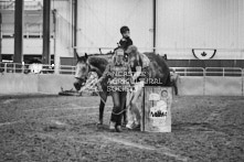 Equine Photography from horse events at the 174th Ancaster fair on September 20th of 2024.