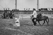 Equine Photography from horse events at the 174th Ancaster fair on September 20th of 2024.