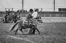 Equine Photography from horse events at the 174th Ancaster fair on September 20th of 2024.