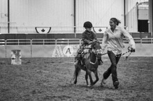 Equine Photography from horse events at the 174th Ancaster fair on September 20th of 2024.