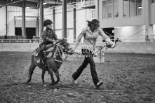 Equine Photography from horse events at the 174th Ancaster fair on September 20th of 2024.