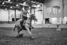 Equine Photography from horse events at the 174th Ancaster fair on September 20th of 2024.