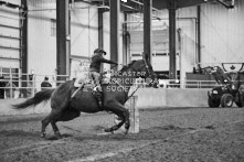 Equine Photography from horse events at the 174th Ancaster fair on September 20th of 2024.