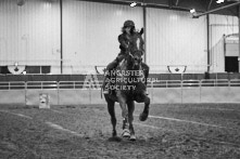 Equine Photography from horse events at the 174th Ancaster fair on September 20th of 2024.