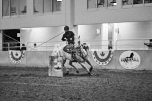 Equine Photography from horse events at the 174th Ancaster fair on September 20th of 2024.