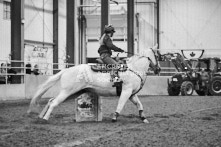 Equine Photography from horse events at the 174th Ancaster fair on September 20th of 2024.