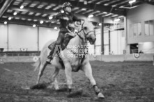 Equine Photography from horse events at the 174th Ancaster fair on September 20th of 2024.