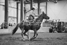 Equine Photography from horse events at the 174th Ancaster fair on September 20th of 2024.