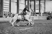 Equine Photography from horse events at the 174th Ancaster fair on September 20th of 2024.