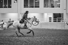 Equine Photography from horse events at the 174th Ancaster fair on September 20th of 2024.