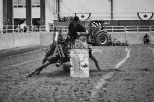 Equine Photography from horse events at the 174th Ancaster fair on September 20th of 2024.