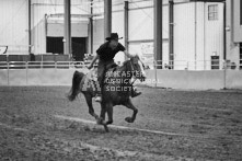 Equine Photography from horse events at the 174th Ancaster fair on September 20th of 2024.