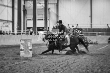 Equine Photography from horse events at the 174th Ancaster fair on September 20th of 2024.