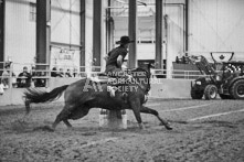 Equine Photography from horse events at the 174th Ancaster fair on September 20th of 2024.