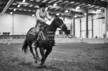 Equine Photography from horse events at the 174th Ancaster fair on September 20th of 2024.