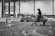 Equine Photography from horse events at the 174th Ancaster fair on September 20th of 2024.