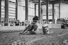 Equine Photography from horse events at the 174th Ancaster fair on September 20th of 2024.