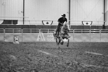 Equine Photography from horse events at the 174th Ancaster fair on September 20th of 2024.