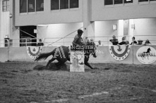 Equine Photography from horse events at the 174th Ancaster fair on September 20th of 2024.