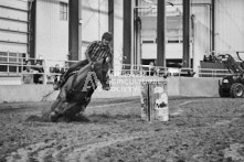 Equine Photography from horse events at the 174th Ancaster fair on September 20th of 2024.