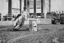 Equine Photography from horse events at the 174th Ancaster fair on September 20th of 2024.