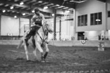 Equine Photography from horse events at the 174th Ancaster fair on September 20th of 2024.