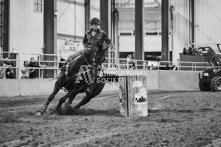 Equine Photography from horse events at the 174th Ancaster fair on September 20th of 2024.