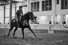 Equine Photography from horse events at the 174th Ancaster fair on September 20th of 2024.