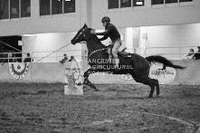 Equine Photography from horse events at the 174th Ancaster fair on September 20th of 2024.