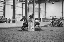 Equine Photography from horse events at the 174th Ancaster fair on September 20th of 2024.